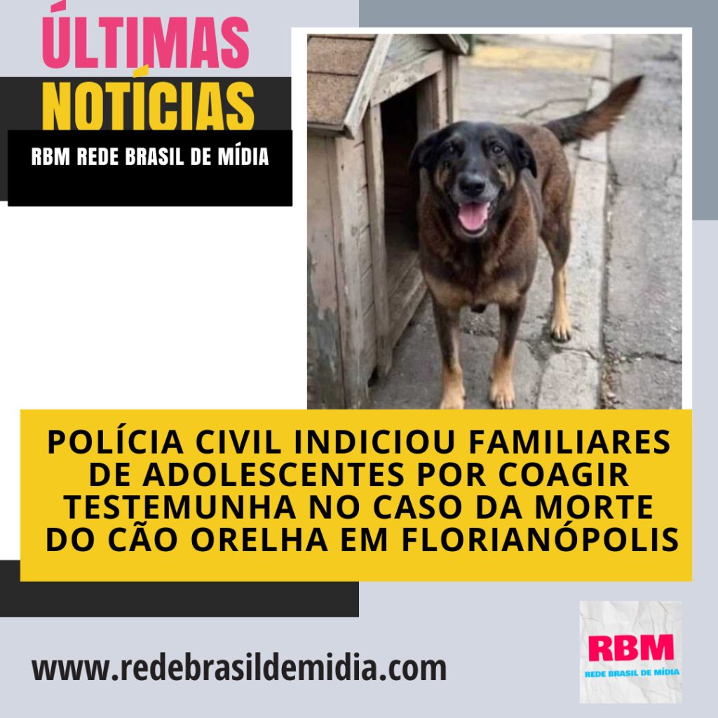 Polícia Civil indiciou familiares de adolescentes por coagir testemunha no caso da morte do cão Orelha em Florianópolis