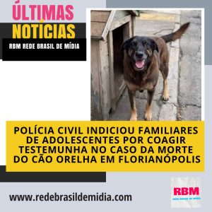 Polícia Civil indiciou familiares de adolescentes por coagir testemunha no caso da morte do cão Orelha em Florianópolis